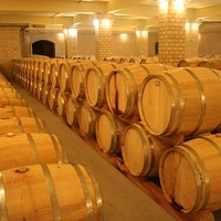 AM rendelet a szőlő- és bortermelés részletes szabályairól