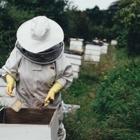 Őszi teendők a méhészetben